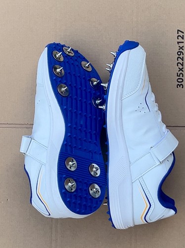Vector cricket shoes - cricket,